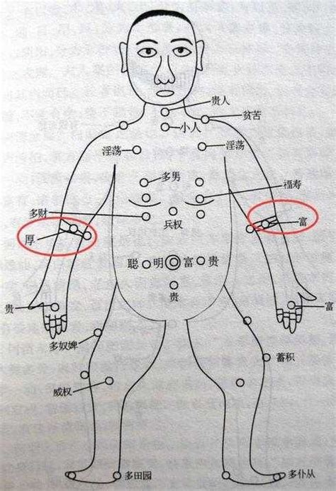 手臂有痣前世|胳膊上有痣代表什么 胳膊不同位置痣相解析——天玄网